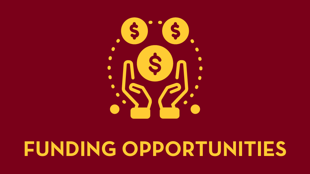 Funding Opportunities Maroon